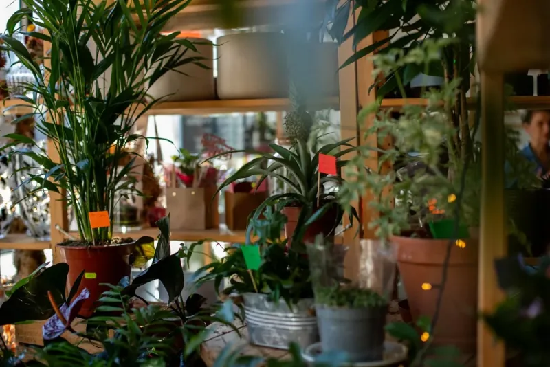 Warsztaty ogrodnicze